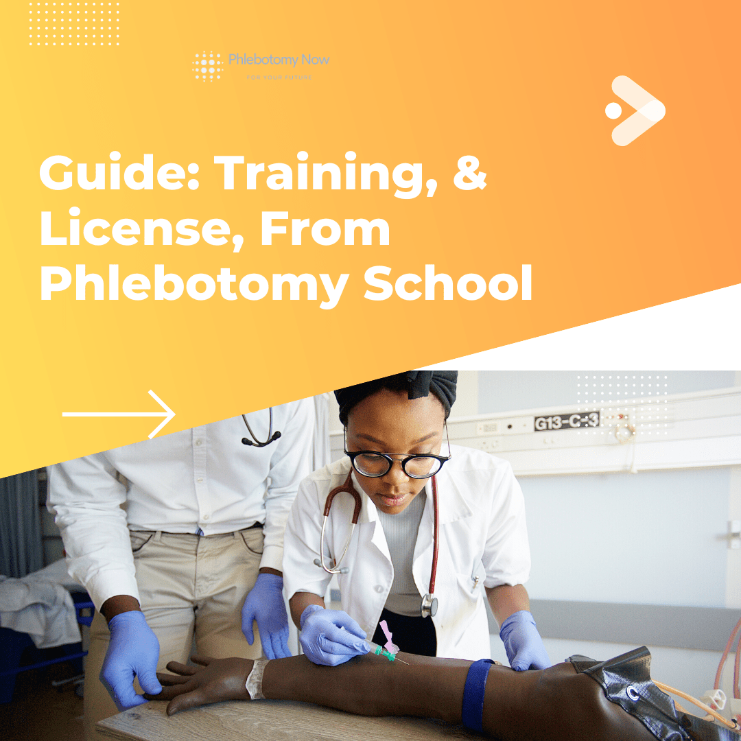 Guide: Training, & License, From Phlebotomy School
