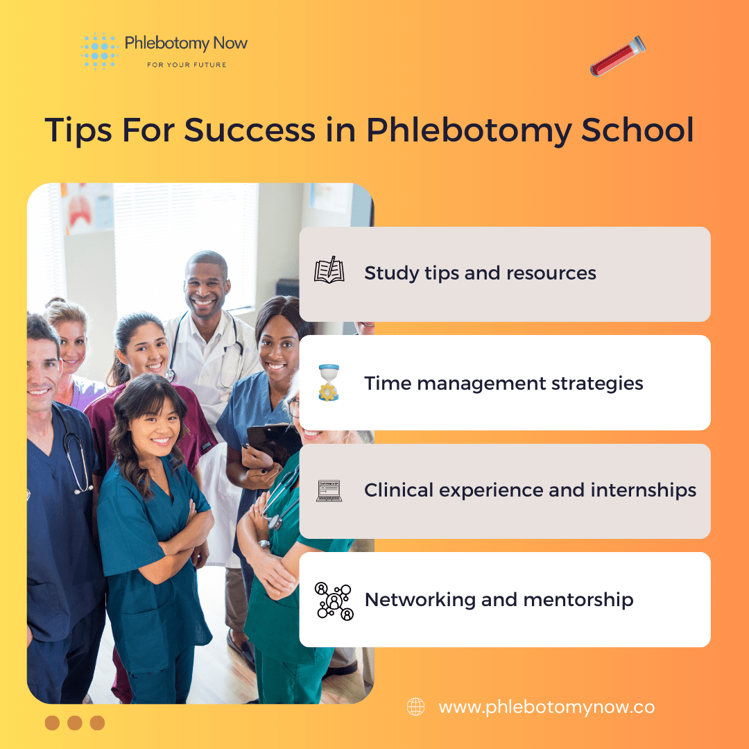 Tips For Success in Phlebotomy School 