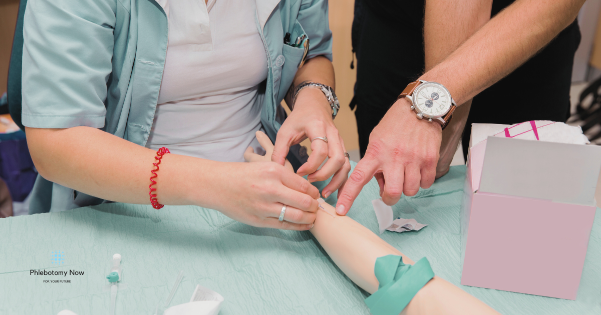 How to Find a Vein for a Blood Draw: Phlebotomist Guide